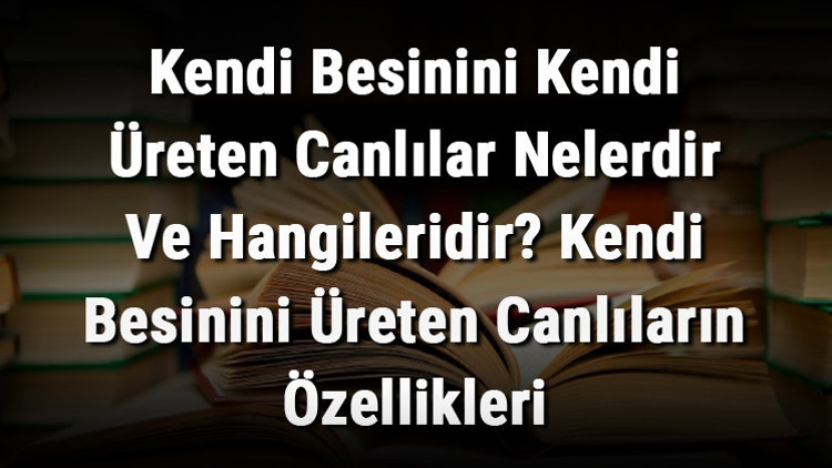 Kendi Yiyeceğini Üreten Hayvanlar ve Doğada Bilinmeyen Gerçekler [2026] - Kapak Görseli