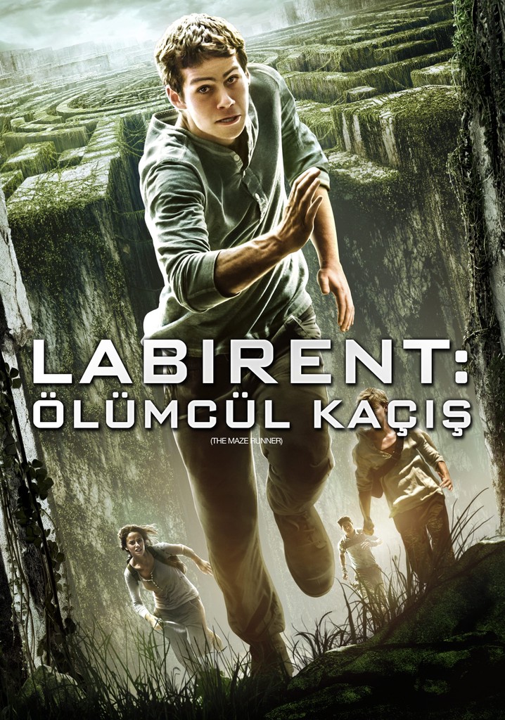 Labirent Filmleri İzleme Sırası: Bağlantılar ve Kritik Detaylar - Kapak Görseli